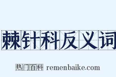 棘针科反义词是什么意思的图片